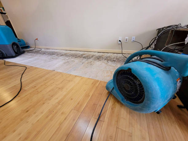 Reliable Basement Flood Cleanup contractor in Lawndale, NC by Hirex Water Damage
