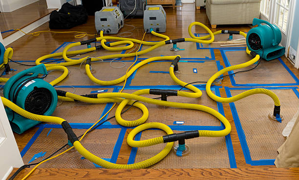 Professional Basement Flood Cleanup technician working in Lawndale, NC